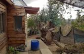 IMG-20200603-WA0006