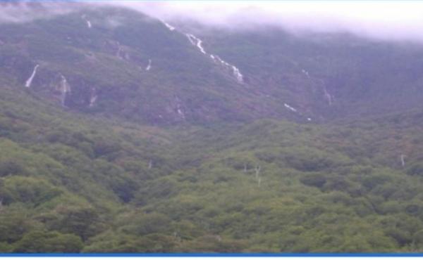 Screenshot_20200816_215953