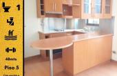 tti6644, ARRIENDO EN PROVIDENCIA