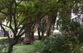 IMG-20191015-WA0030