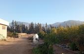 IMG_20210611_163419