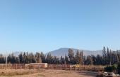 IMG_20210611_163925