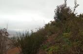 IMG_20210528_162744