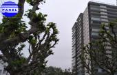tti7576, VD549 - VENTA DEPARTAMENTO 3 DORM SECTOR PONIENTE DE VIÑA DEL MAR